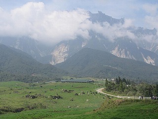 キナバル山の美しい景観を眺められるデサファーム