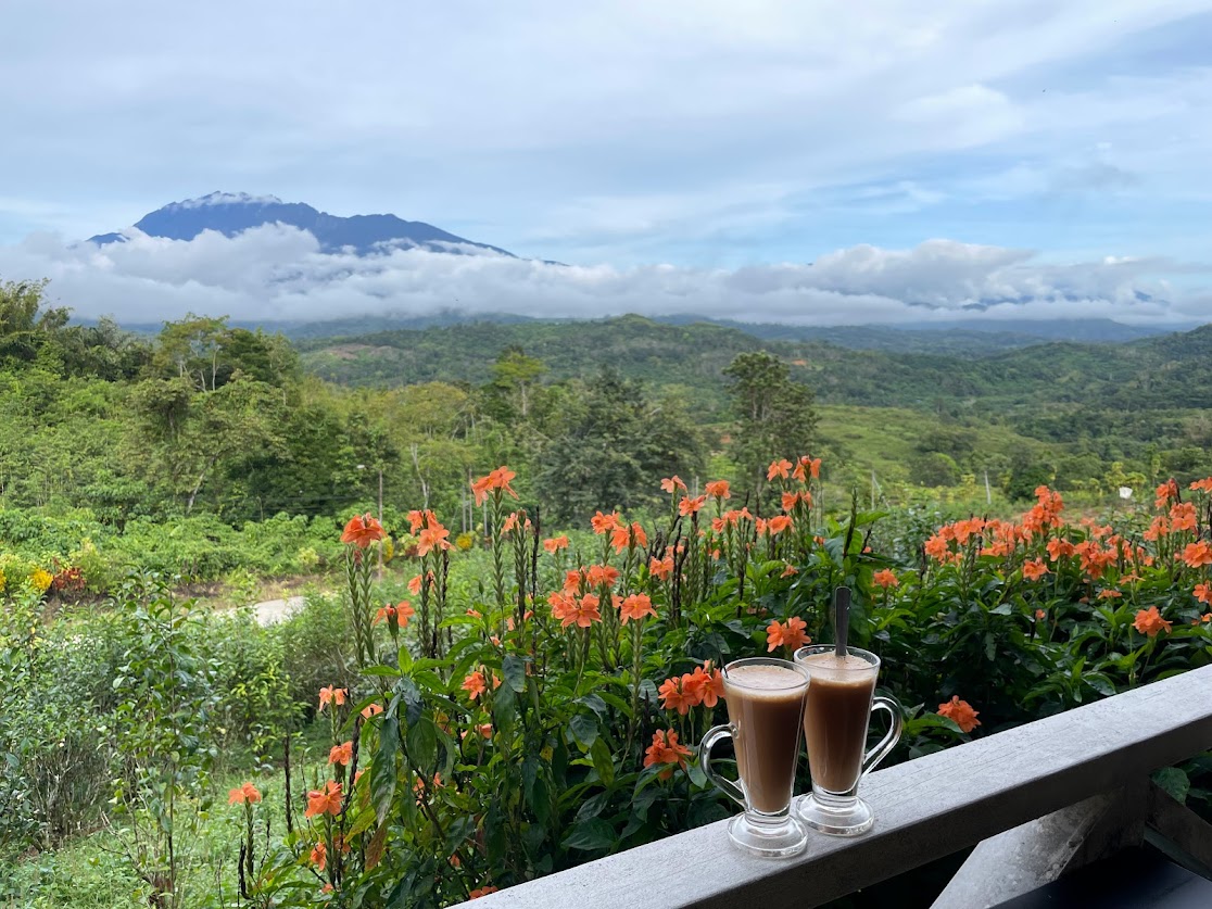 サバティーガーデンからのキナバル山